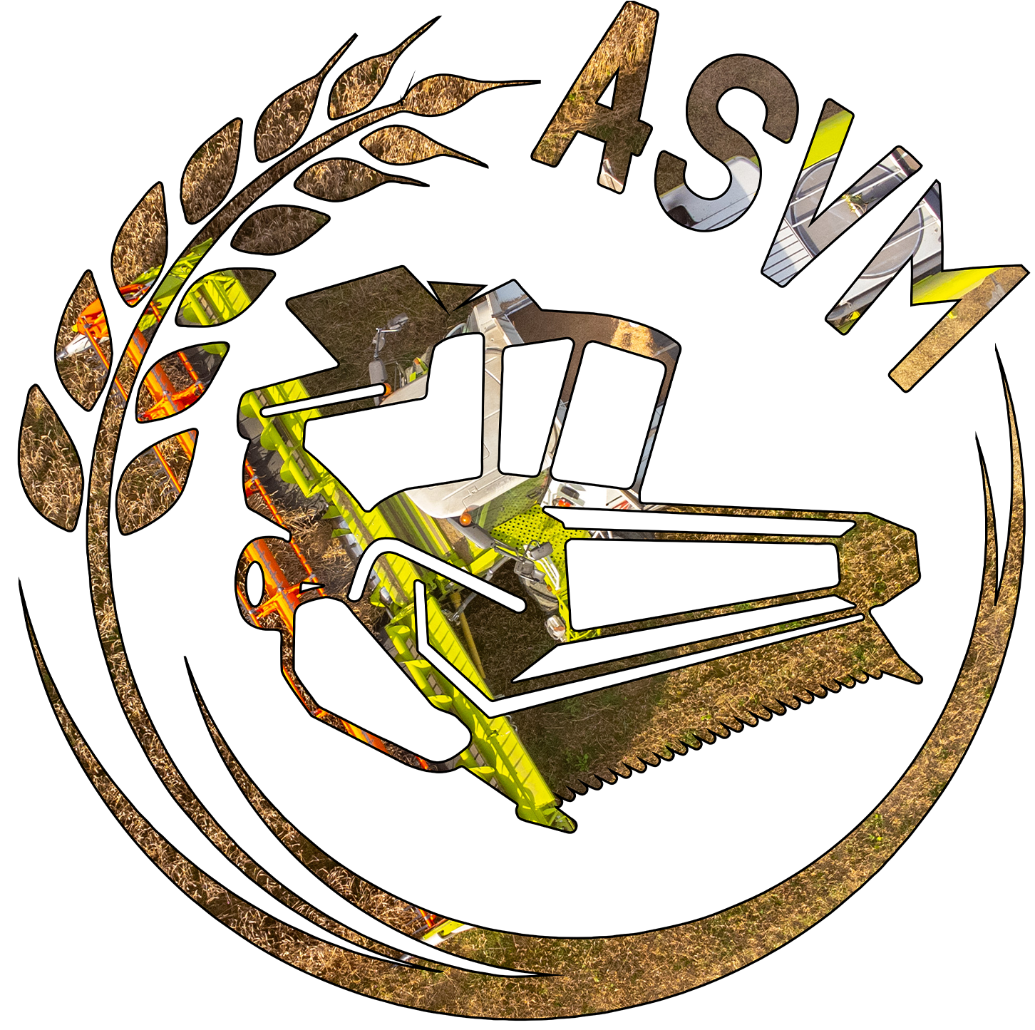 asvm.png